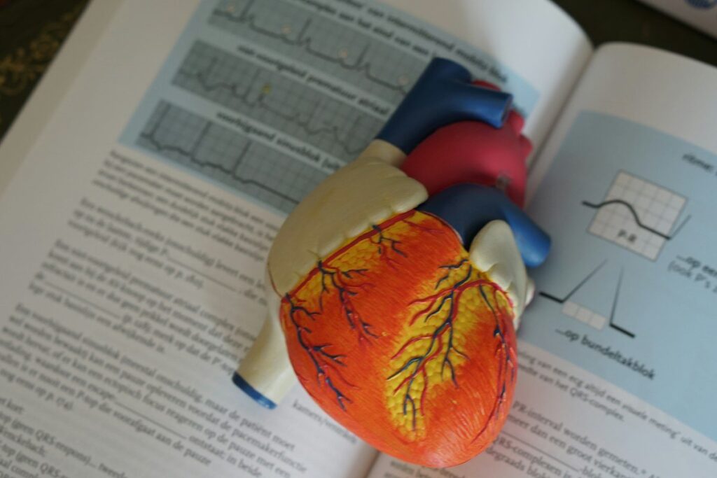 Echocardiography